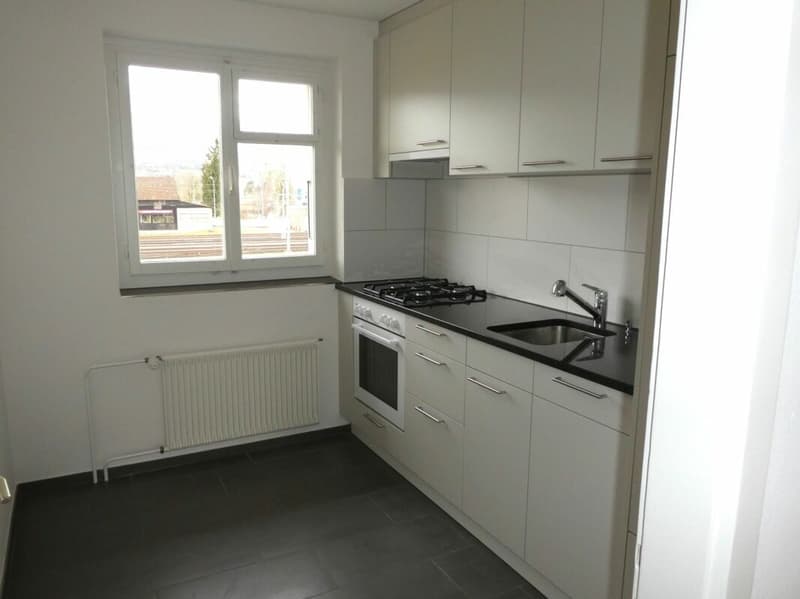 Bello appartamento di 3 camere con ampio balcone (2)