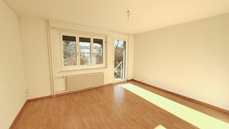 Bello appartamento di 3 camere con ampio balcone (4)