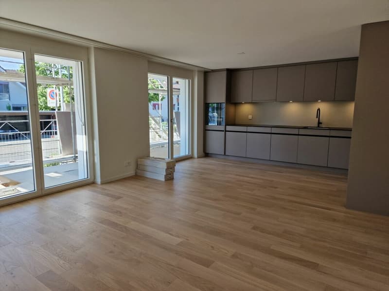 Appartamento 2.5 locali al piano terra (2)