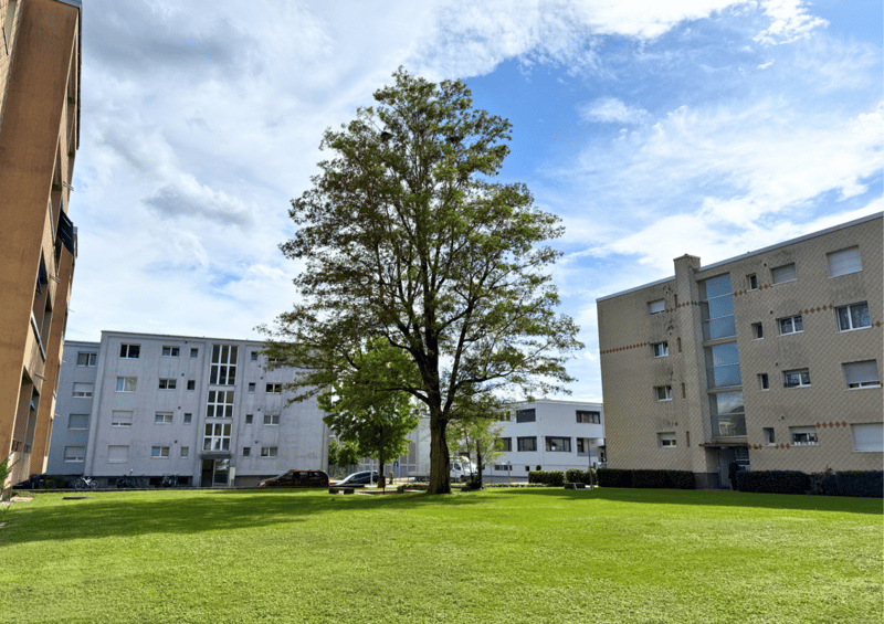 3.5-Zimmer-Wohnung im 3. OG (12)