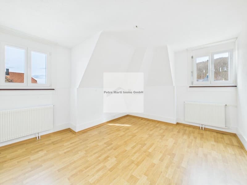 Appartement mansardé de 3,5 pièces dans un quartier calme (6)