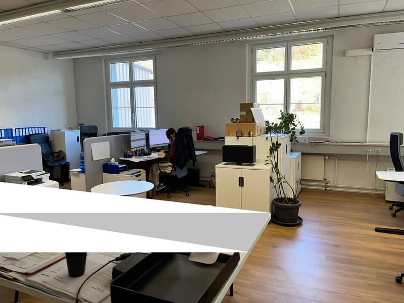 Office space with desks, chairs, computer monitors, boxes, printer, white cabinets, small plant, air conditioner, large windows, wooden flooring