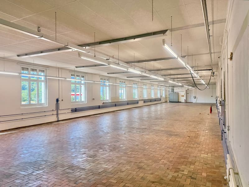 710 m² Commercial / Production Space with Storage Area in Excellent Location (4)