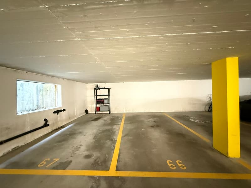 Appartement attractif de 3,5 pièces avec terrasse et jardin à Safenwil (16)