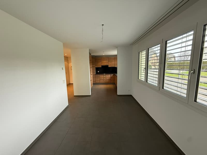 Appartement attractif de 3,5 pièces avec terrasse et jardin à Safenwil (4)
