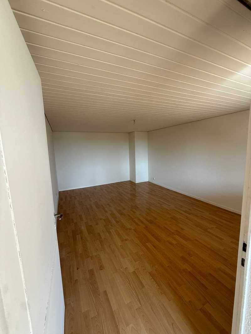 GROSSZÜGIGE 5-ZIMMER-WOHNUNG IN OFTRINGEN (2)
