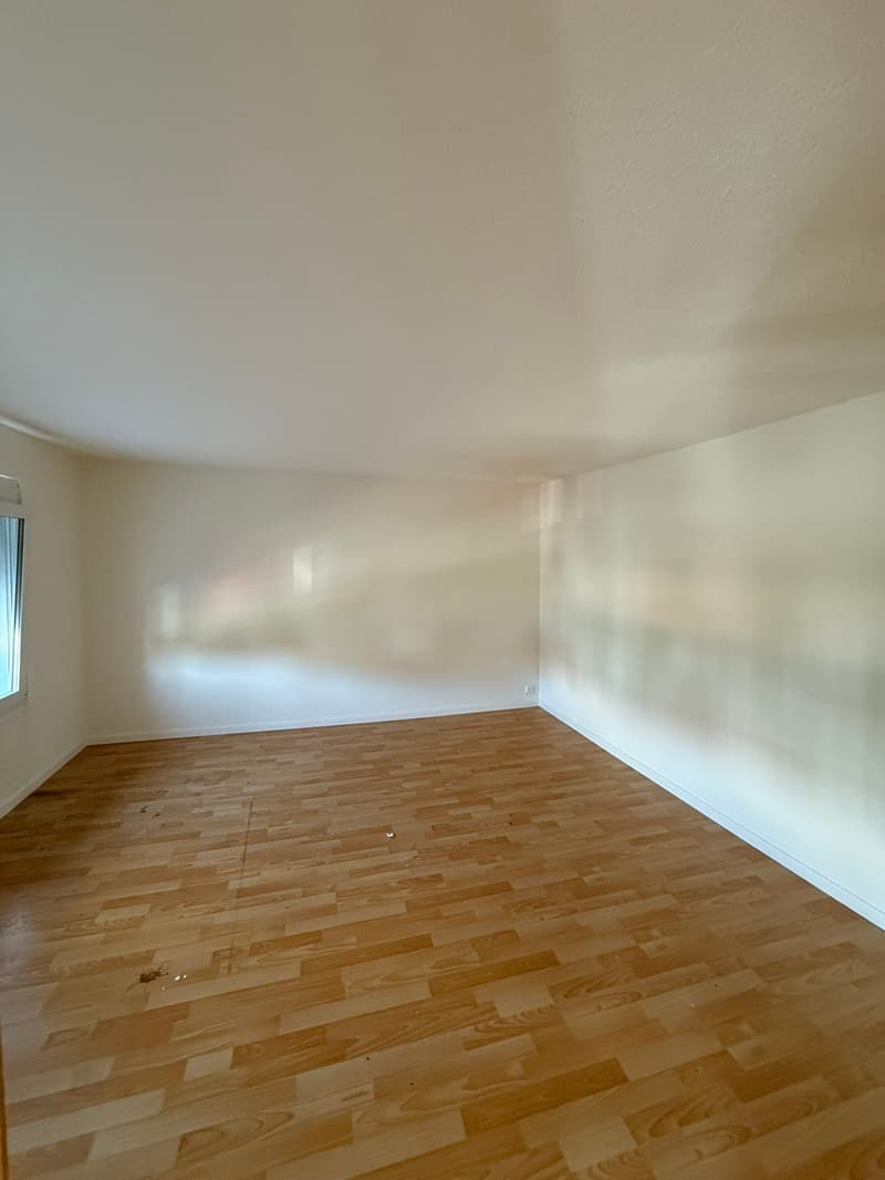 GROSSZÜGIGE 5-ZIMMER-WOHNUNG IN OFTRINGEN (9)