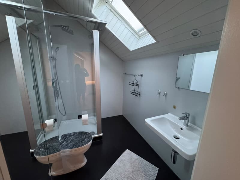 Charmantes 5.5-Zimmer-Einfamilienhaus an ruhiger Lage in Aarburg (15)