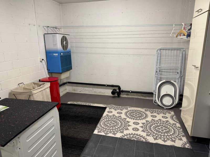 Charmantes 5.5-Zimmer-Einfamilienhaus an ruhiger Lage in Aarburg (19)
