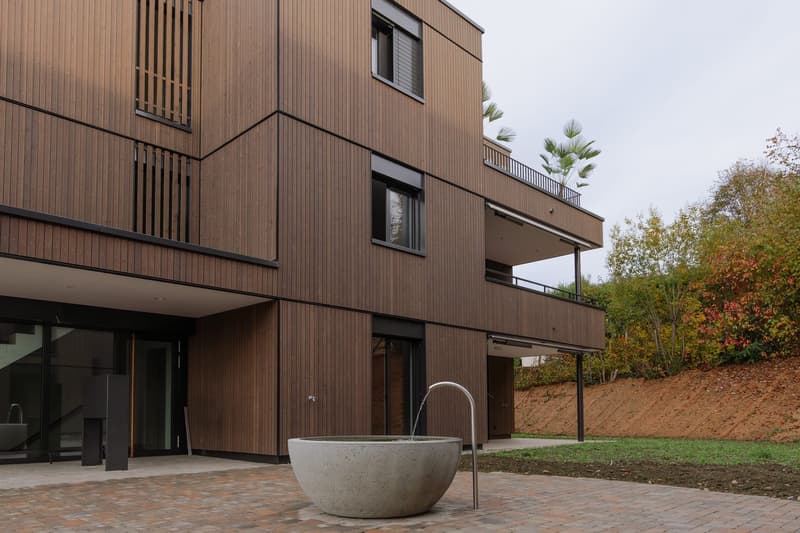 Exklusive 5.5-Zimmer-Neubauwohnung mit luxuriösem Ausbau in Vordemwald (1)