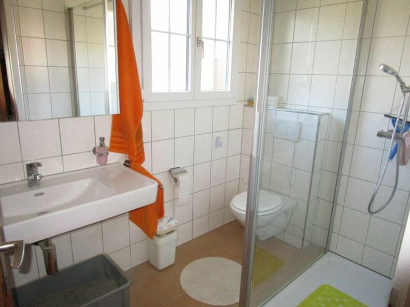Maison de 3 familles avec ancienne partie économique / toit ou beaucoup de potentiel (9)
