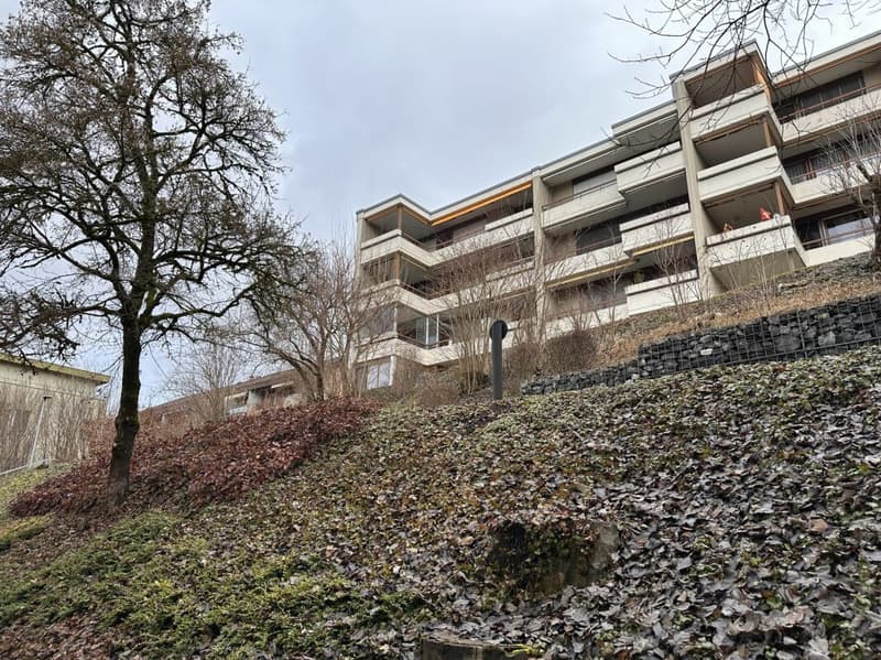 4.5-room apartment including parking space (9)