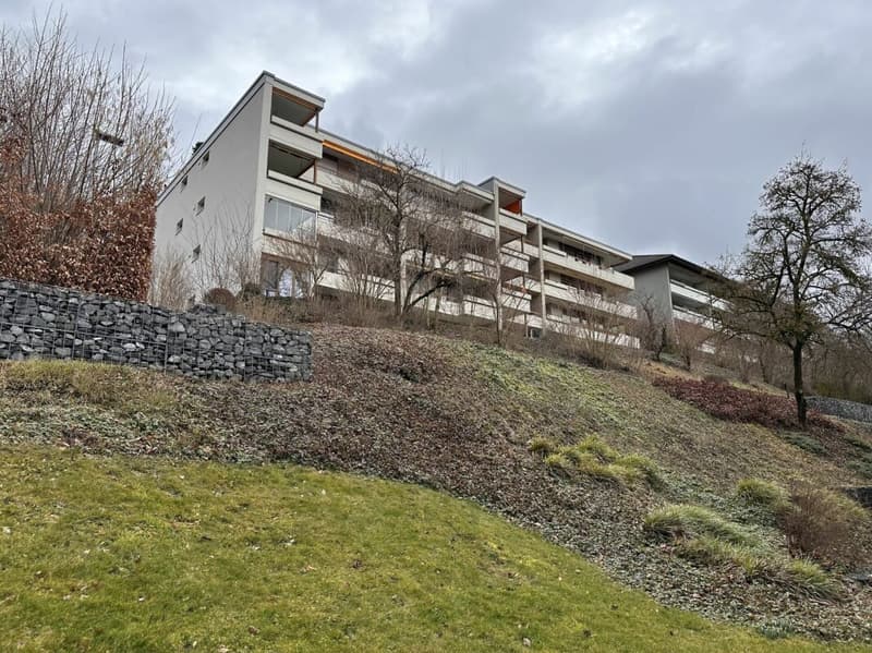 4.5-room apartment including parking space (8)