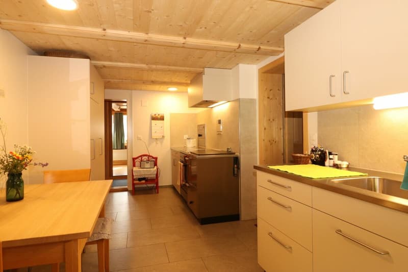 Appartamento di 3 camere, piano terra con giardino (3)