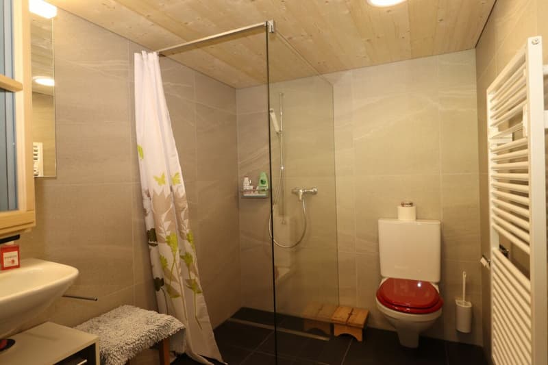 Appartamento di 3 camere, piano terra con giardino (4)