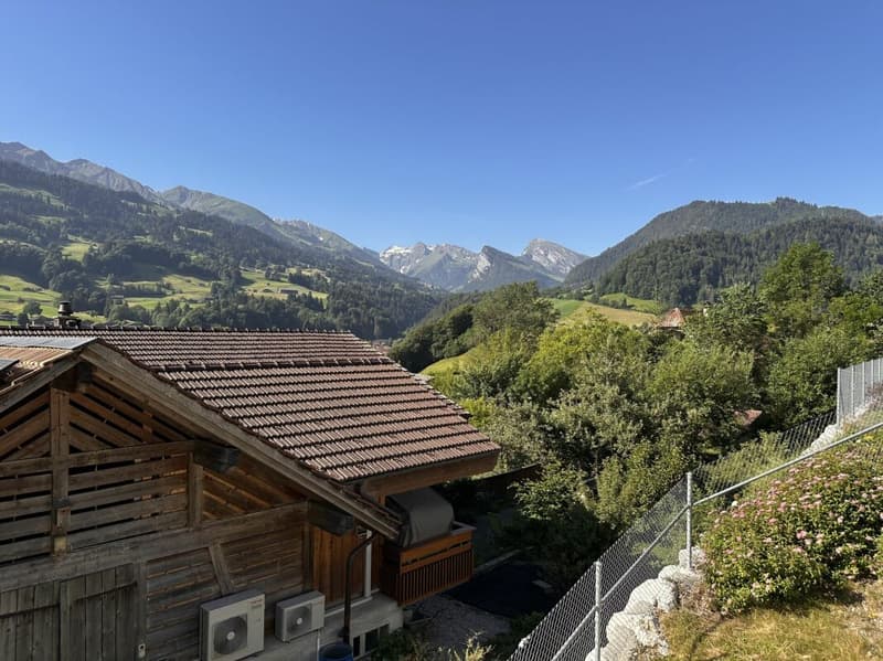 5.5-room single-family house with top construction in a wonderful location (10)
