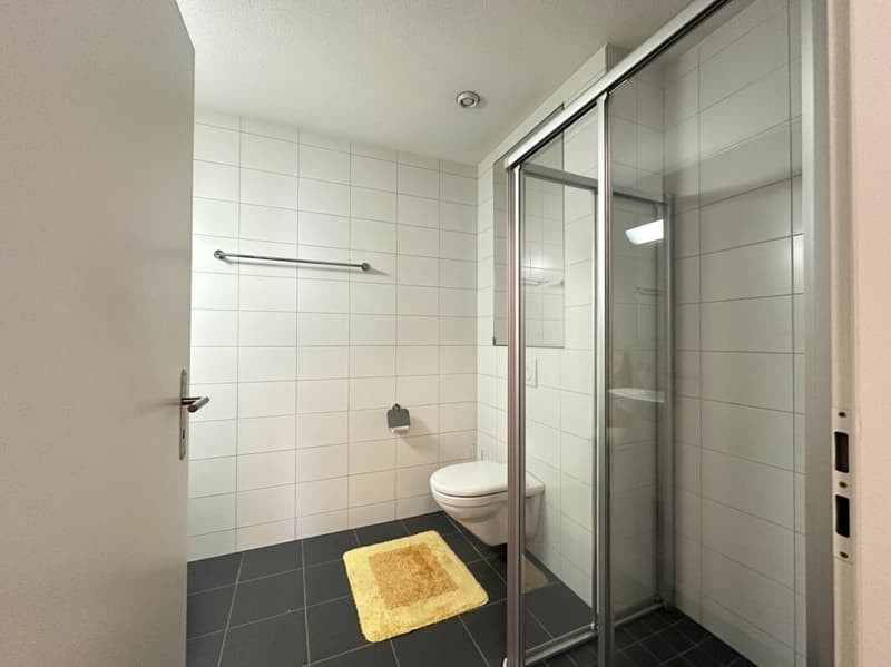 3.5-room owner-occupied apartment in a central and quiet residential area (5)