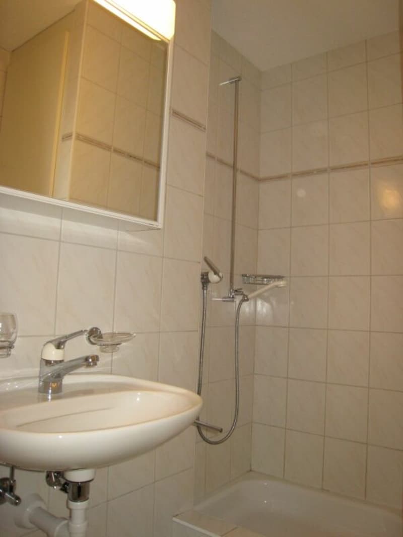 4½-Zimmer-Wohnung in ruhigem Quartier, nahe Bern (8)