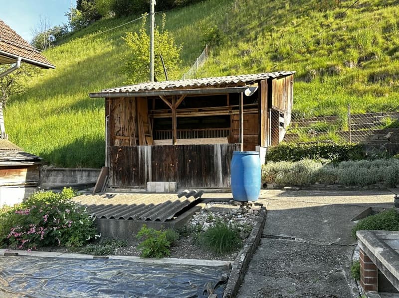 5-Zimmer-Einfamilienhaus mit Potenzial für mehr (14)