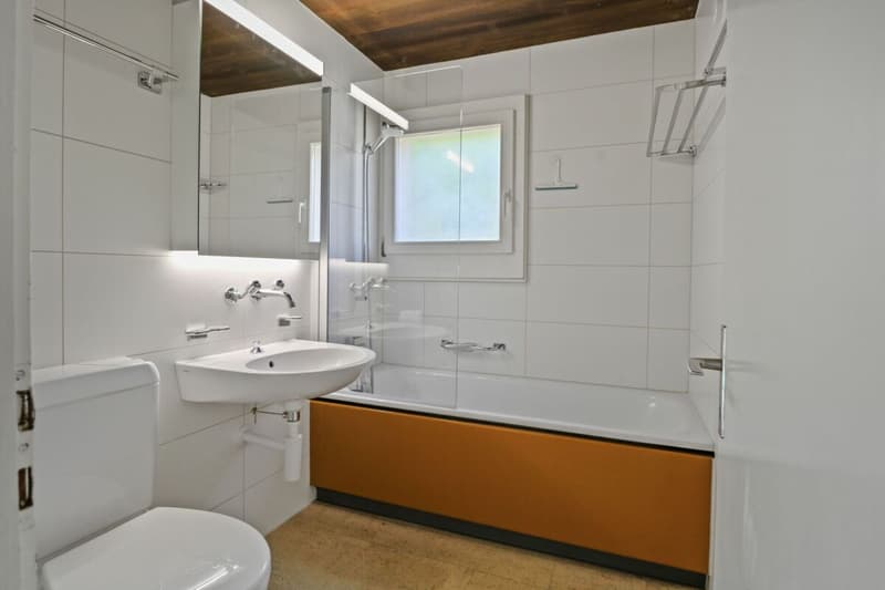 5½-Zimmer-Einfamilienhaus, freistehend, zentral, sonnig, mit Potenzial (7)