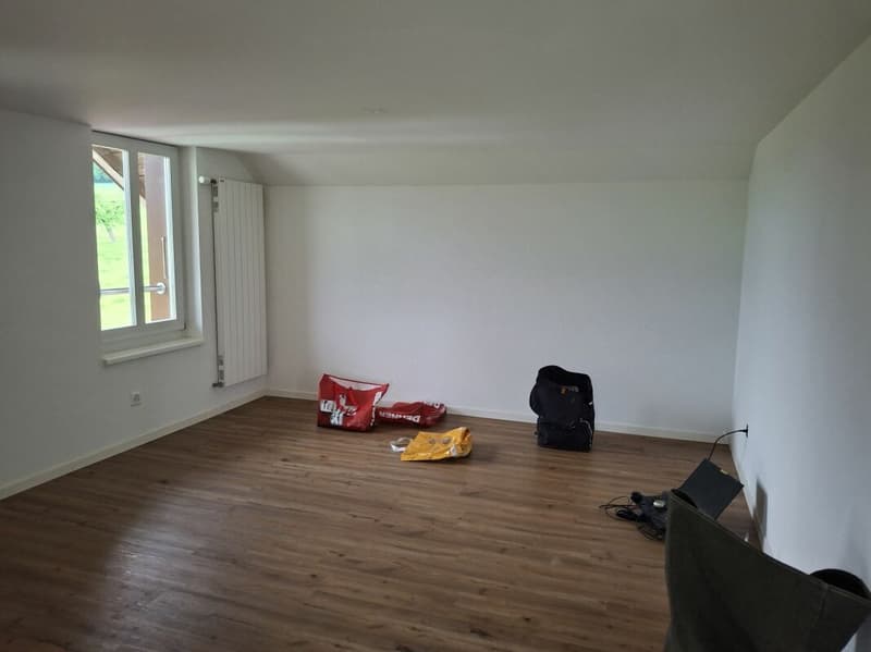 2½-Zimmer-Wohnung, hell, gemütlich, ideal für Single (6)