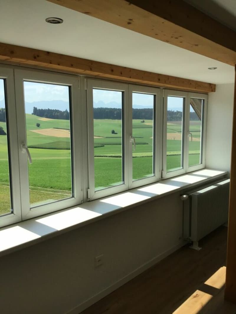2½-Zimmer-Wohnung, hell, gemütlich, ideal für Single (3)
