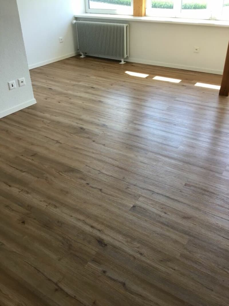 2½-Zimmer-Wohnung, hell, gemütlich, ideal für Single (8)