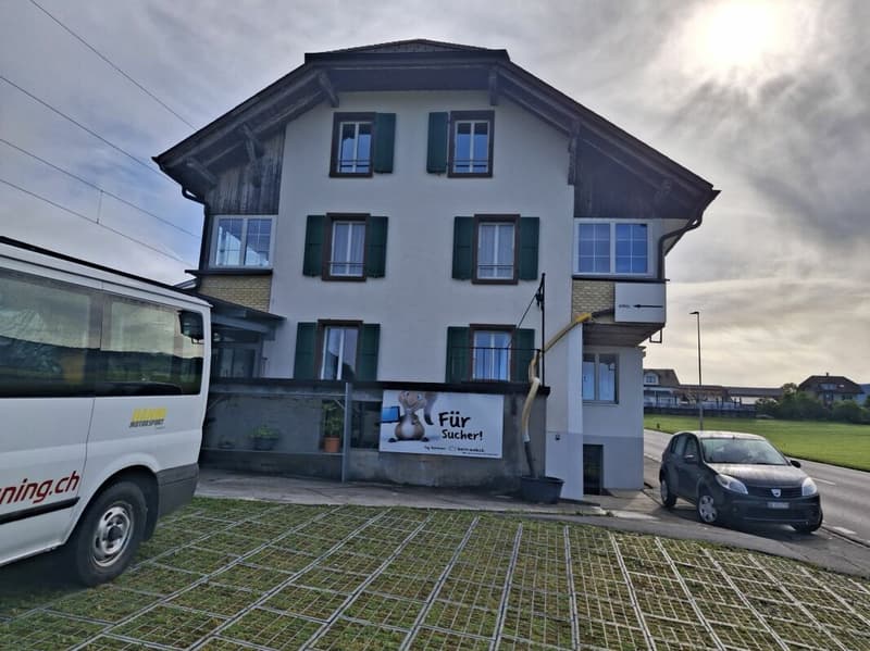 2½-Zimmer-Wohnung, hell, gemütlich, ideal für Single (1)