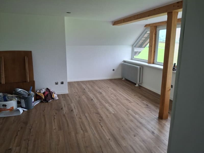 2½-Zimmer-Wohnung, hell, gemütlich, ideal für Single (5)
