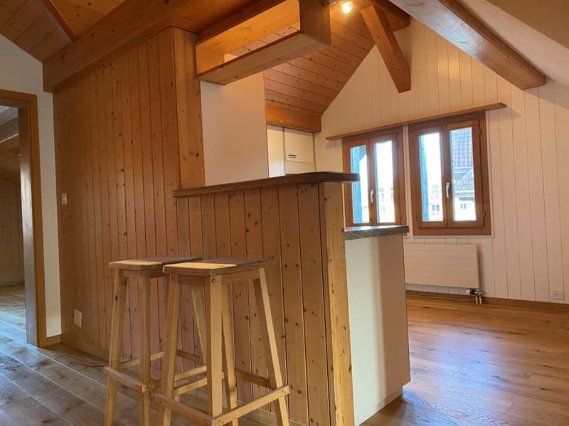 Grosszügige Dachwohnung im 3-Familienhaus (5)