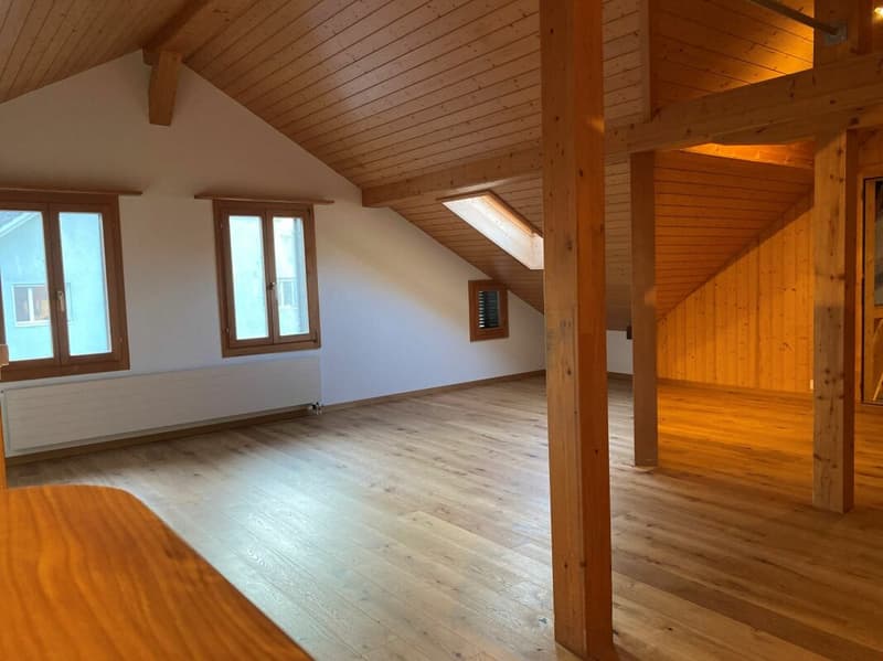 Grosszügige Dachwohnung im 3-Familienhaus (6)