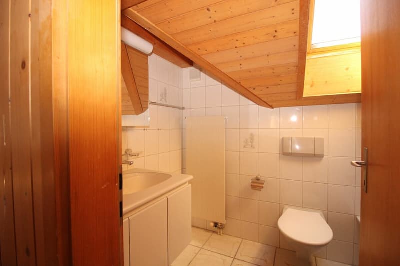 Grosszügige Dachwohnung im 3-Familienhaus (3)