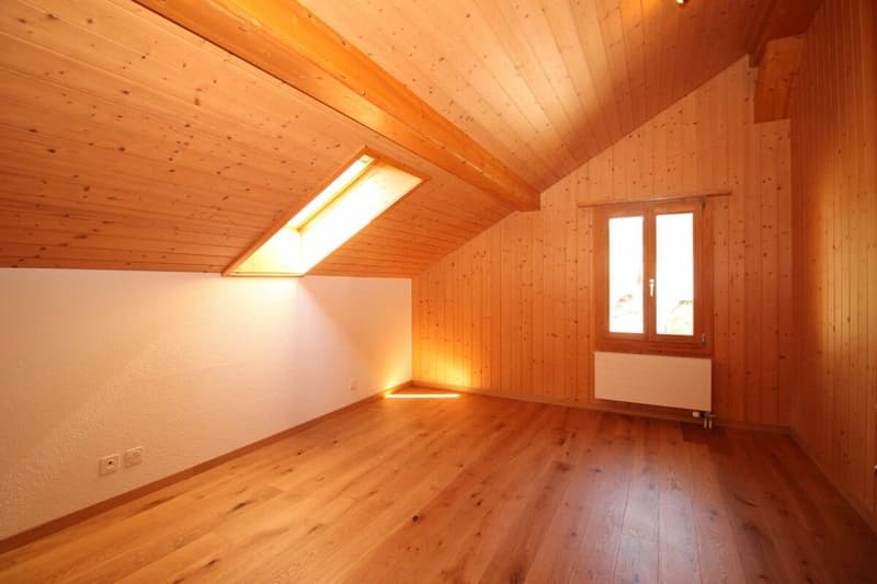 Grosszügige Dachwohnung im 3-Familienhaus (4)