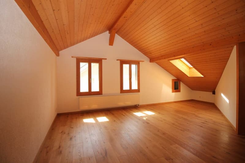 Grosszügige Dachwohnung im 3-Familienhaus (1)
