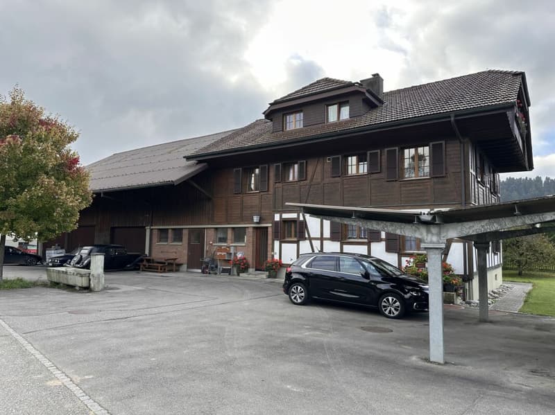 3-Familienhaus mit ehem. Ökonomieteil/Schopf bzw. viel Potenzial (2)