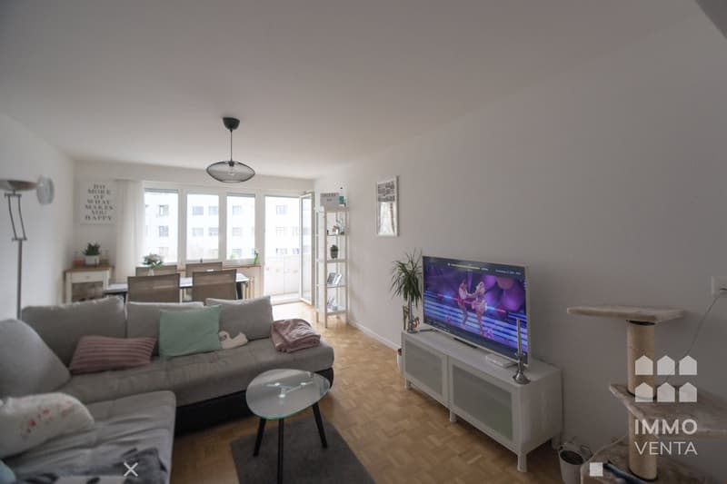 white walls, white shelving, coffee table, grey couch, TV, lamp, windows with curtains