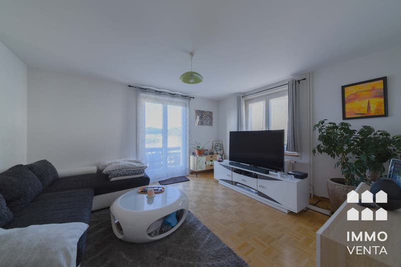 Appartamento di 3 locali luminoso in una zona tranquilla a Orpund (12)