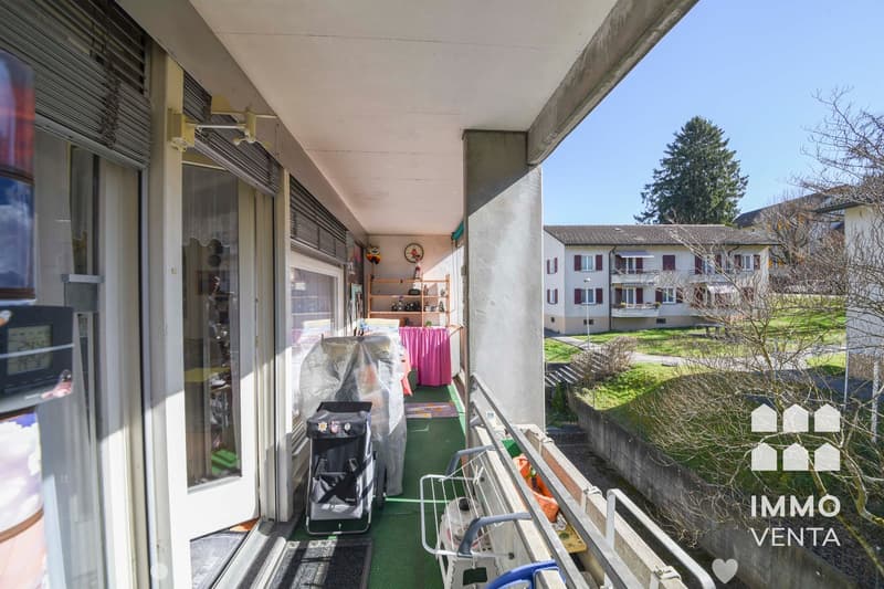 Balcony with green carpet, storage boxes, trolley, and a shelf with items
