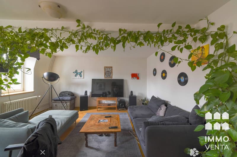Living room with two sofas, wooden coffee table, floor lamp, radiator, TV, speakers, decorative items, plants