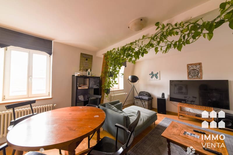 Living room with wooden table, chairs, couch, TV, bookshelf, radiator, window, plant