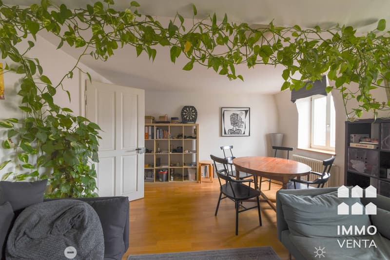 Living room with wooden floor, white walls, large windows, dining table, chairs, couch, bookshelves, plants, picture frame, dartboard, radiator