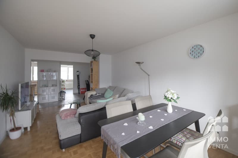 Living room with couch, dining table, TV, shelves, potted plant, lamp, clock, flowers in vase