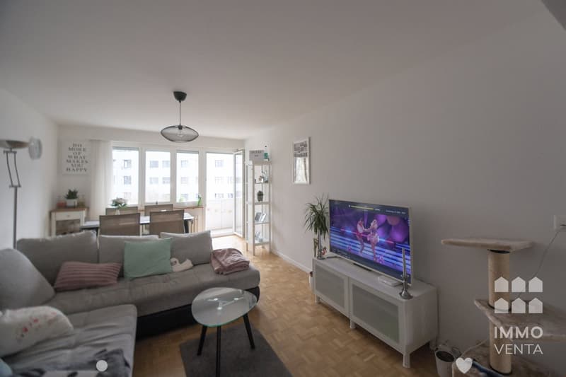 modern living room with gray couch, glass table, TV, wooden floor, white walls, dining table, chairs, plants