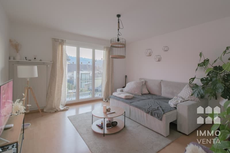 Appartement 3 pièces avec balcon à Aegerten directement sur l'Aare (1)