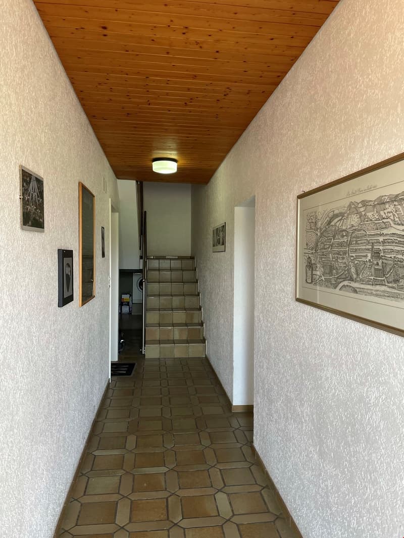 Landscape view - 2.5-room attic apartment in Schnottwil (9)