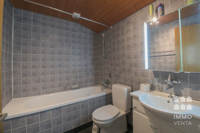 Landscape view - 2.5-room attic apartment in Schnottwil (5)