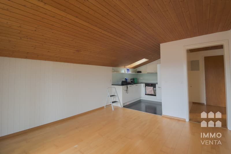 Landscape view - 2.5-room attic apartment in Schnottwil (3)