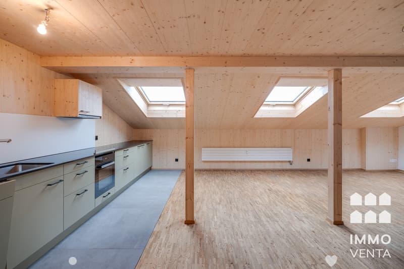 Exklusive 2.5-Zi.-Dachwohnung mit Terrasse in Biel | App. 2,5 pièces avec terrasse à Bienne (3)