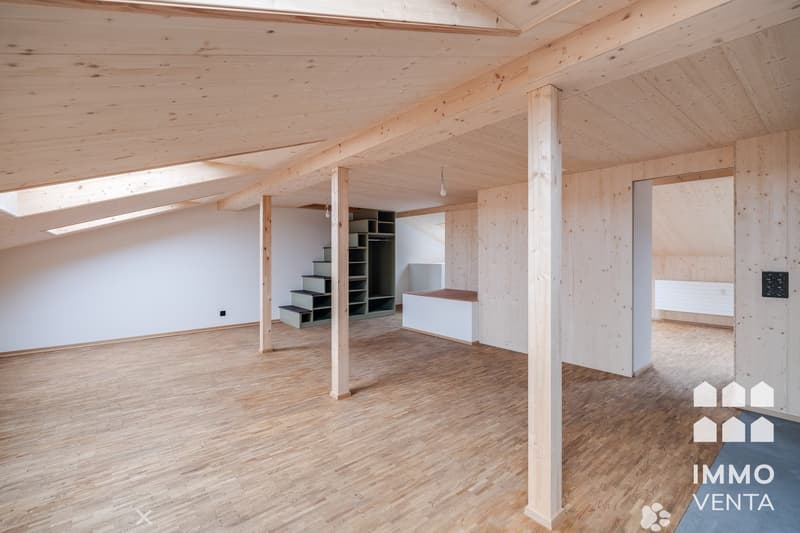 Exklusive 2.5-Zi.-Dachwohnung mit Terrasse in Biel | App. 2,5 pièces avec terrasse à Bienne (2)