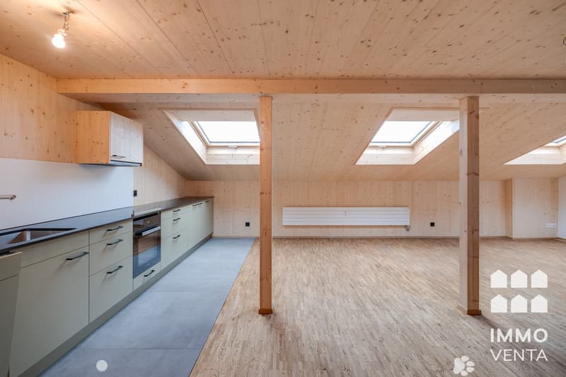 Exklusive 2.5-Zi.-Dachwohnung mit Terrasse in Biel | App. 2,5 pièces avec terrasse à Bienne (3)